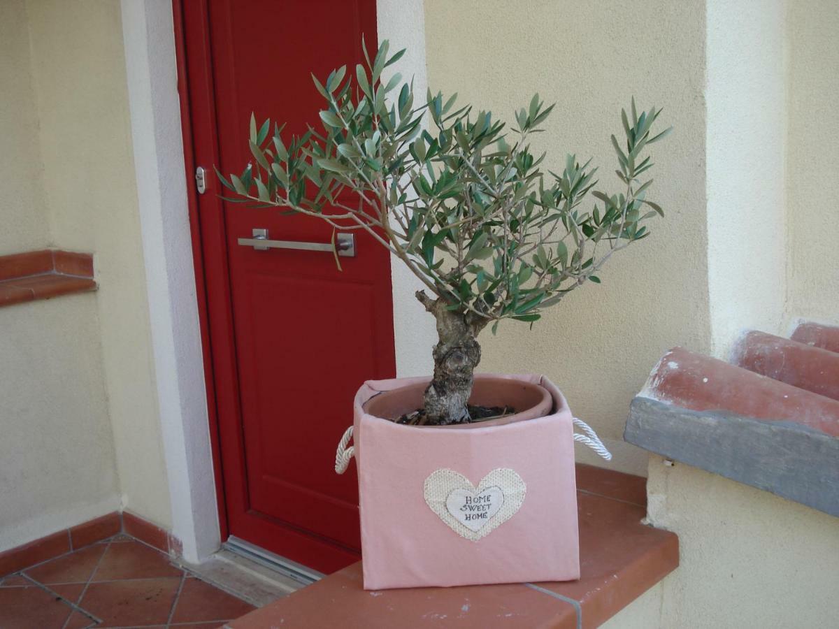 Globetrotter Bed & Breakfast Formia Eksteriør bilde