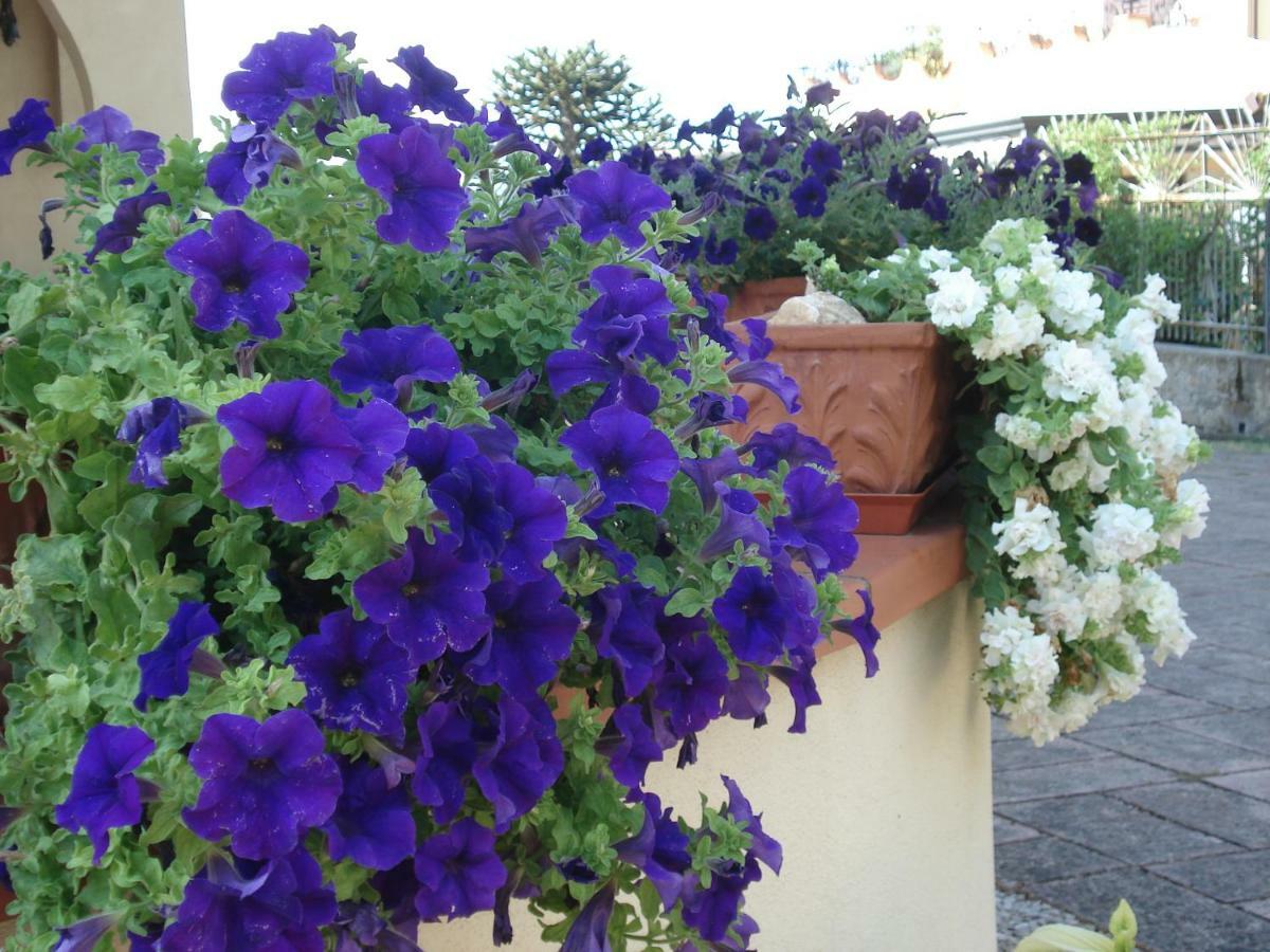 Globetrotter Bed & Breakfast Formia Eksteriør bilde